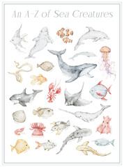 Watercolor wildlife poster with Alphabet ocean animals, fishes. Humpback whale, beluga whale, dolphin, clown fish, eel, jellyfish, flounder, sharks, orca, puffer fish, manta ray, opah, x-ray fish © Kate K.