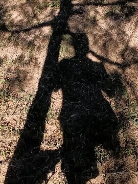 Sombra - Silhueta - Forma Sombreada. - Shadow - Silhouette - Shadowed Shape.
