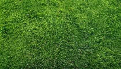 Obraz premium grass textured background aerial view of grass field wallpaper copy space
