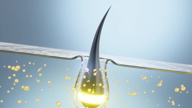 3D animation of hair growth, shampoo or hair serum, hair repair, hair restoration cycle, hair care.