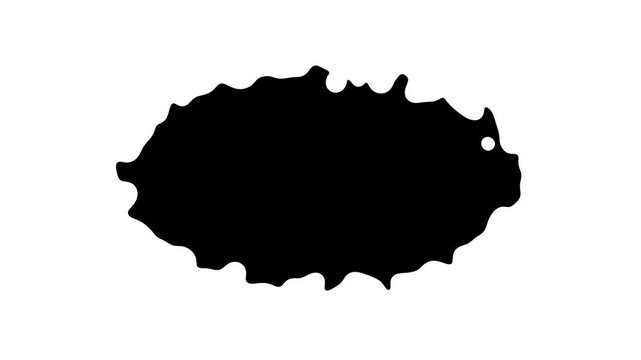 Animated Black Ink Liquid Splash Blob Oval Shape