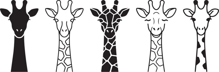 Five smiling giraffes with different facial expressions © Ripa