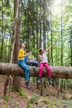 Mother and daughter take a hiking break on a forest tree trunk