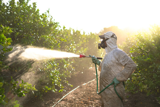 Farm worker spraying pesticide at sunrise