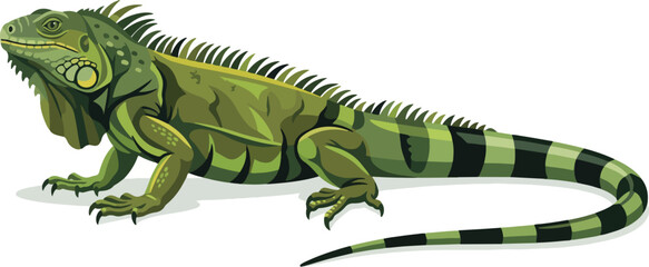 Fototapeta premium Detailed green iguana vector illustration showcasing its scaly skin and striped tail, a vibrant reptile