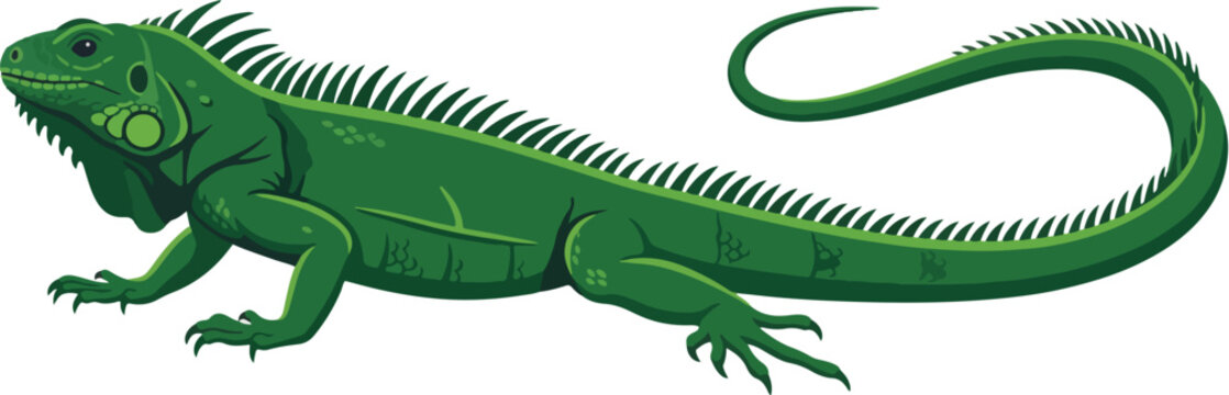 Vibrant green iguana illustration, a detailed reptile vector with spiky crest, perfect for nature and wildlife designs