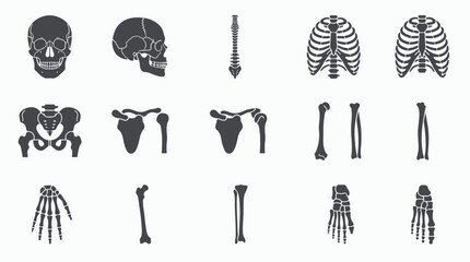 Detailed Human Skeleton Anatomy Illustration Set. © Kerajaan