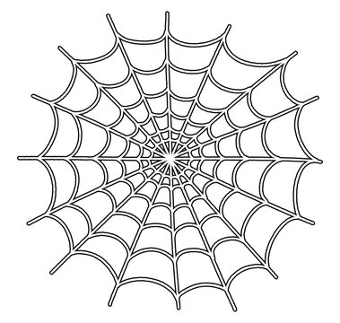 Hand drawn black spider web line art illustration for Halloween decor