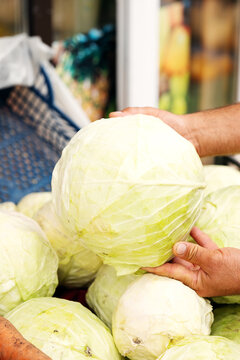 Customer choosing fresh white cabbage head at a local outdoor agricultural market stall. Concept of buying fresh vegetables, organic produce, farm retail, and choice.