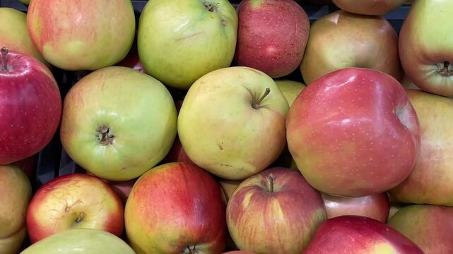 Fresh apples in various colors and sizes stacked as a natural harvest background