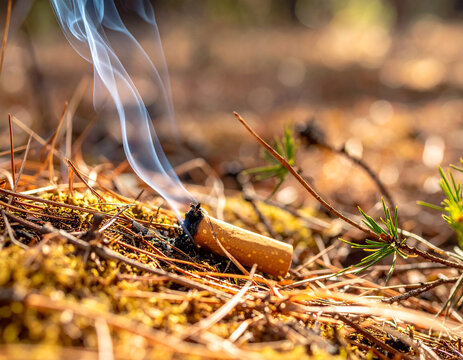 Colilla de cigarrillo entre hojas secas del bosque, origen de un incendio forestal por negligencia humana durante el verano y alto riesgo de propagaci&oacute;n del fuego