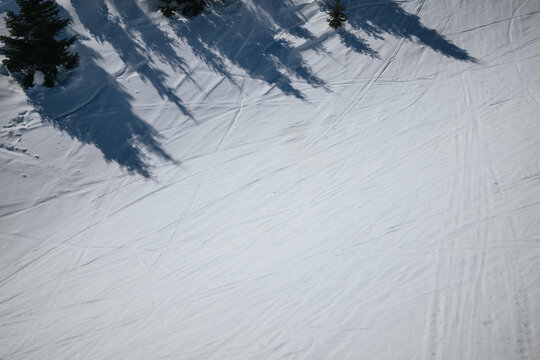 A lone skier glides across a wide snow-covered slope near shadowed pine trees. An aerial view highlights ski tracks and long tree shadows on bright white snow.