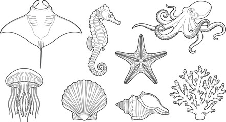 Marine Life Sea Creatures Line Art Vector Set Featuring Octopus Seahorse Jellyfish Coral Shell and Starfish Collection © MdHadiur