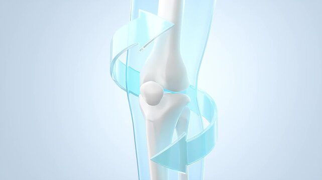 collagen bubbles absorbing into the knee joint to repair cartilage, For collagen supplements to support bone and joint health.