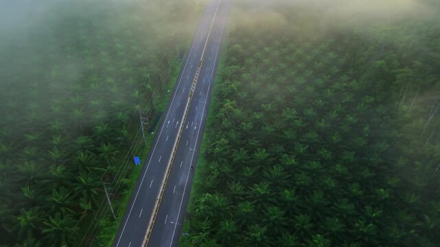Aerial view of a scenic road through limestone karst mountains and morning mist in Krabi, Thailand