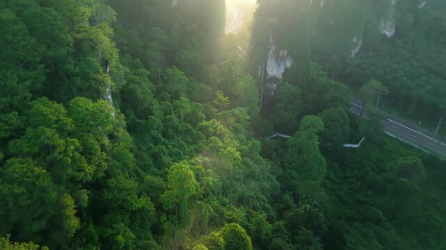 Aerial view of a scenic road through limestone karst mountains and morning mist in Krabi, Thailand