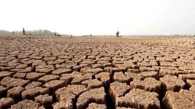 Dry cracked earth landscape showing severe drought conditions in arid region