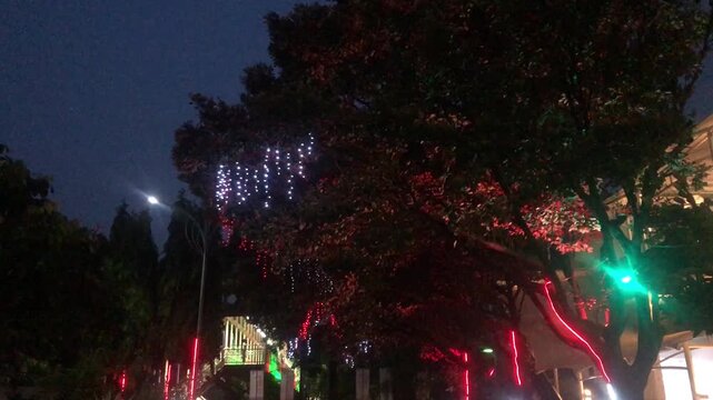 Large tree decorated with festive string lights at night in a city street.
