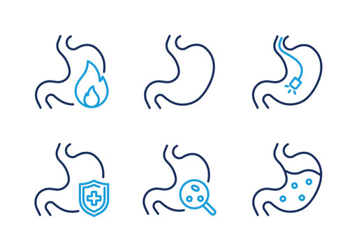 Stomach Health and Medical Examination thin line icon set. Minimal web icons