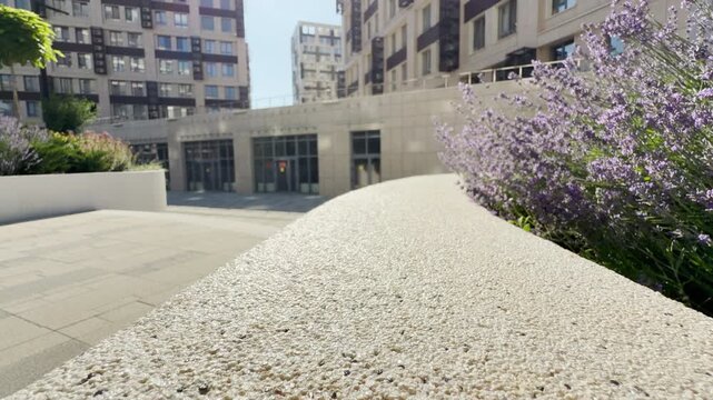 Purple flowers bloom beautifully next to a modern stone courtyard in Simferopol, Crimea. High buildings rise under a clear sky. The lovely scene feels completely peaceful.