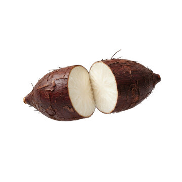 Fresh Cut Cassava Root Tuber Vegetable with White Flesh