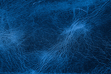 Fototapeta premium Deep blue leather texture with detailed grain