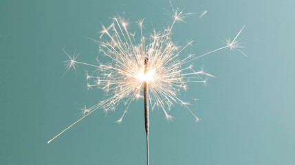 Obraz premium The Sparkler at the Center of a Bright Burst Capturing Festive Light