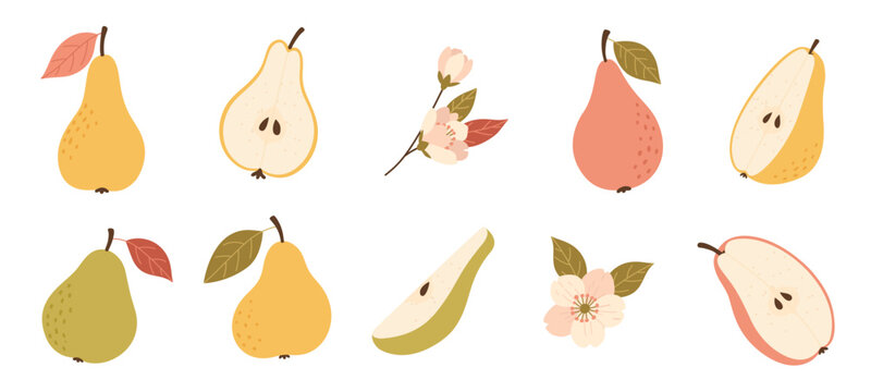 Cute pear collection with whole and sliced pears, blossom and leaves. Autumn pears fruit set isolated on white background. Flat vector illustration for stickers, packaging  and seasonal designs.