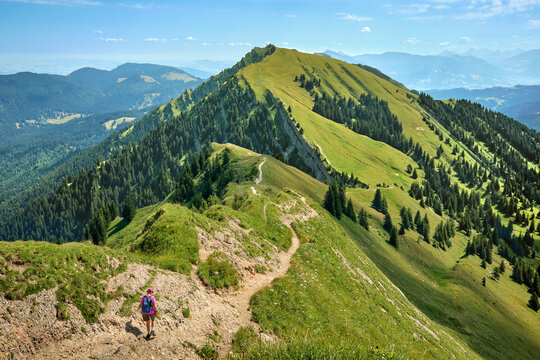 Active senior woman hiking along the scenic ridge of the Nagelfluh mountain range in the Allgaeu Alps with panoramic alpine views on a sunny summer day. Oberstaufen-Steibis, Allgaeu, Bavaria, Germany