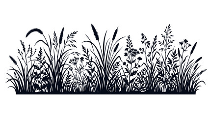 Wild grasses and herbs silhouette presents a detailed, dark outline of various wild plants, including tall grasses, reeds, and smaller flowering herbs, creating a natural border. © MdAbdul