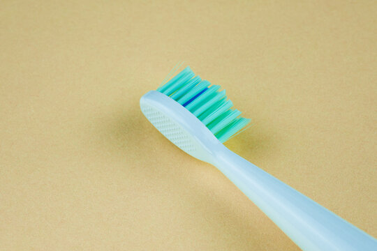 Toothbrush head showing bristles for daily dental hygiene