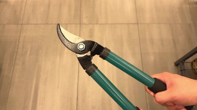 Close-up of green handled pruning shears for gardening and plant care, sharp cutting tool, horticulture and outdoor maintenance.
