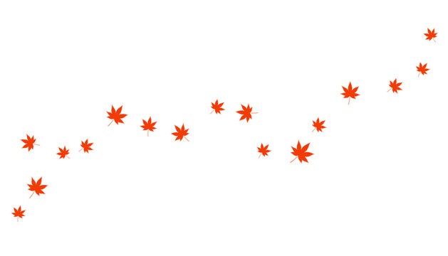 Maple tree, red momiji leaves floating in air, blown by wind illustration isolated. Fallen leaves, autumn foliage. Seasonal plant, decorative design element, botanical clip art. Hand drawn flat vector