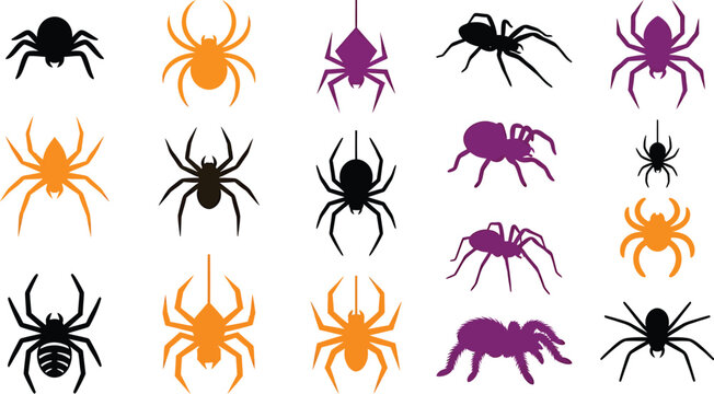 Arachnid Reference Shapes for Educational Publishing