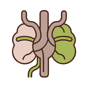 Prostate gland concept line icon, linear illustration, outline sign.