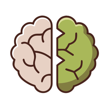 Two halves of human brain symbol split into light pink and green.