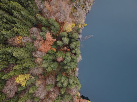 Aerial view of Lac Pavin surrounded by dense coniferous and deciduous forest with autumn foliage colors along the shoreline in Besse-et-Saint-Anastaise, Auvergne-Rhone-Alpes, France.