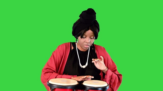 Concentrated african american woman tries to play bongos on a Green Screen, Chroma Key.