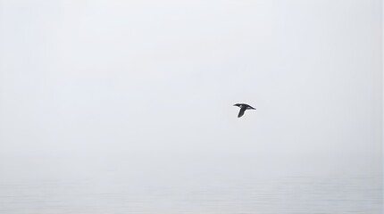 Naklejka premium A single guillemot bird flying over calm grey sea in thick fog