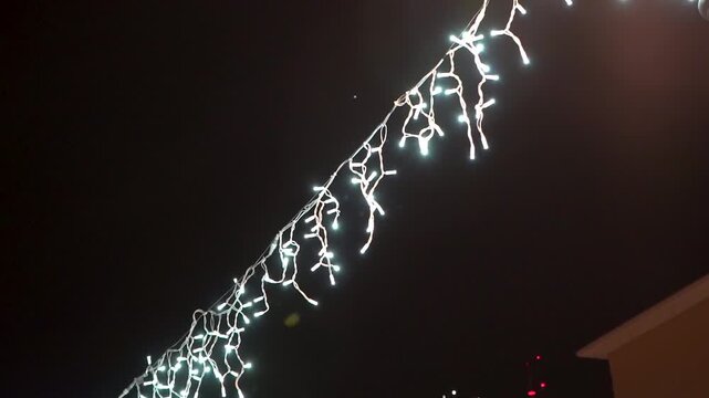Christmas white lights decoration illuminating a city park at night