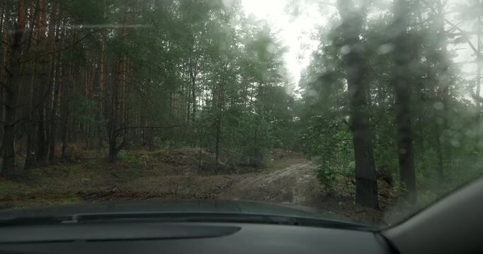 Car stopping on dirty forest road at the end of trip with audio included