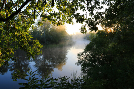 Misty river at sunrise with sunbeams filtering through green oak leaves
