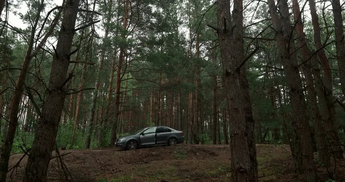 Wide angle view of man putting on jacket near car in dense pine forest with real sound