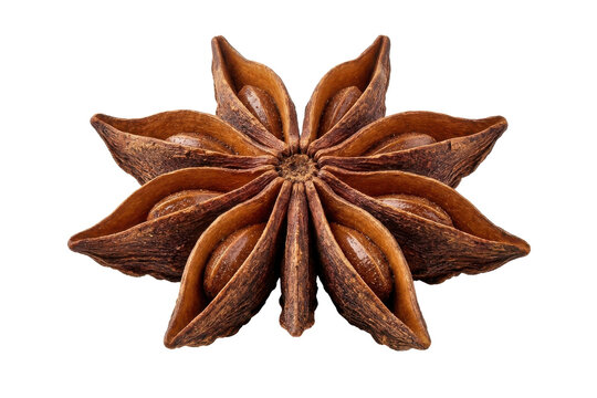 Single star anise spice on white background