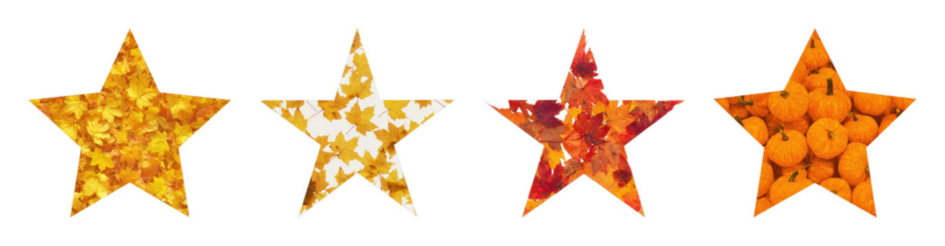 PNG Four decorative star shapes with autumn textures, transparent background