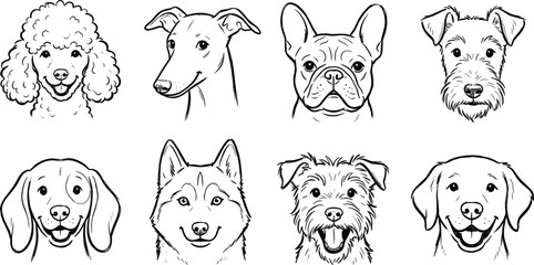 Fototapeta premium Cute set of different dog breeds hand drawn vector line art illustration icons