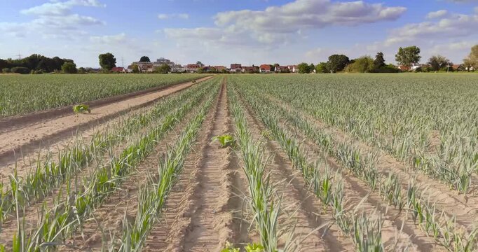 Drone ascent above farmland near Schneppenhausen Germany