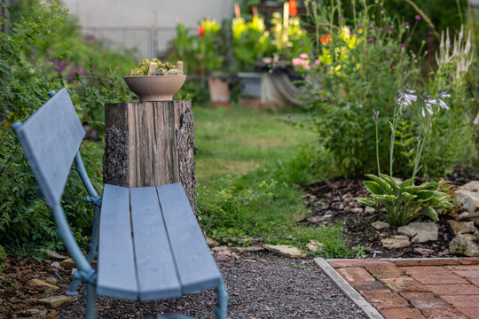 Blue painted wooden garden bench next to a tree stump with stonecrop succulent pot. Cosy backyard seating area surrounded by lush green perennial flowerbeds on a summer day.