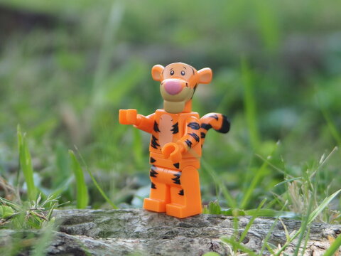 Indonesia - May 7, 2025 : Mini toy of action figure at outdoor with blurred background. Miniature photography concept design. Minifigure of Tiger character at wild nature.