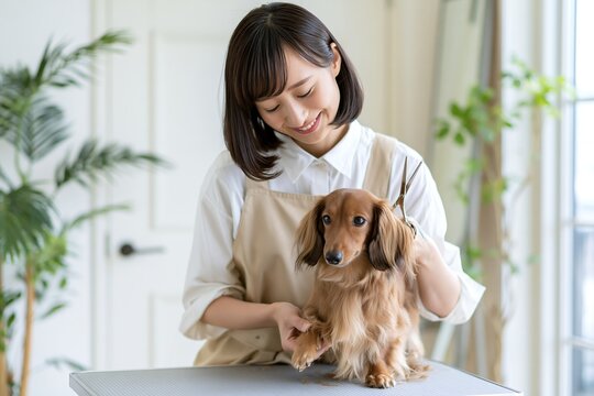 女性が愛犬ダックスフンドの毛並みを優しく整えるトリミング風景